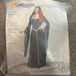 Lady Guinevere California Costumes Medieval Blue and Gold Dress